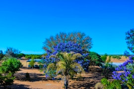 Namibia Accommodation at Ouhave Country Home | Viya