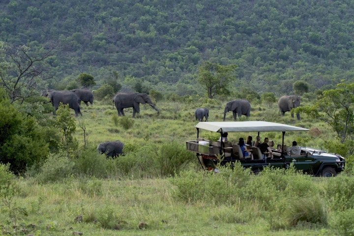 Limpopo Accommodation at Inzalo Safari Lodge | Viya