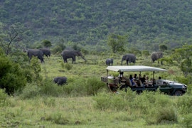 Vaalwater Accommodation at Inzalo Safari Lodge | Viya