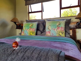 Eastern Cape Accommodation at  | Viya