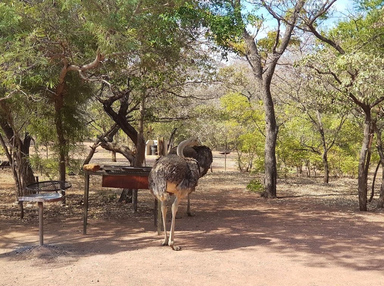 Waterberg Accommodation at  | Viya