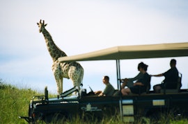 Eastern Cape Accommodation at Premier Resort Mpongo Private Game Reserve | Viya