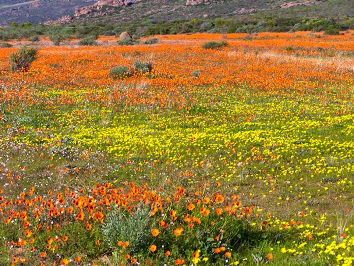 Northern Cape Accommodation at SANParks Delwerskamp Coastal Camp Site | Viya