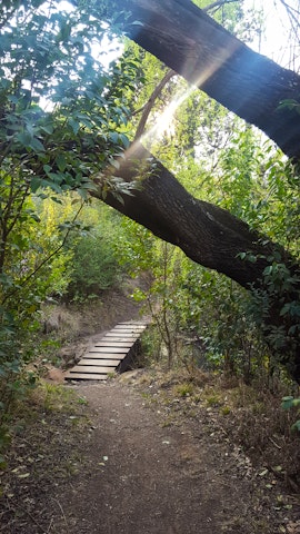 Drakensberg Accommodation at His Vessel Guest House | Viya