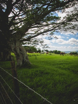 KwaZulu-Natal Accommodation at Oribi Gorge Guest Farm | Viya