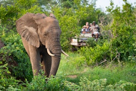 Kruger To Canyons Accommodation at Sausage Tree Safari Camp | Viya