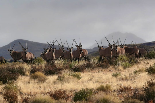 Namibia Accommodation at  | Viya