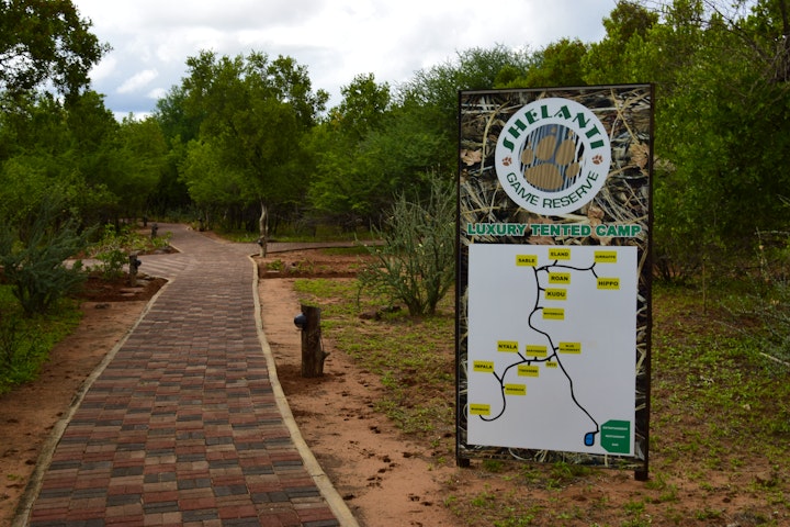 Limpopo Accommodation at Shelanti Game Reserve | Viya