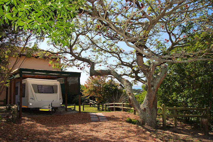 Sarah Baartman District Accommodation at Coral Tree Self-Catering | Viya