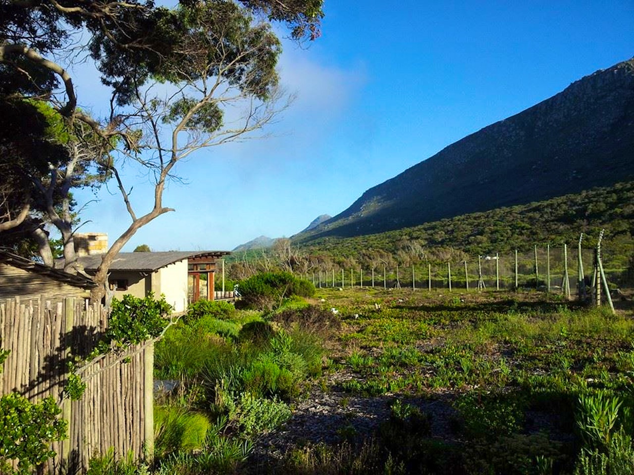 Western Cape Accommodation at  | Viya