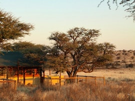 Kgalagadi District Accommodation at SANParks Grootkolk Wilderness Camp | Viya