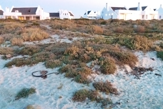 Strandloper @ Moeriesbaai