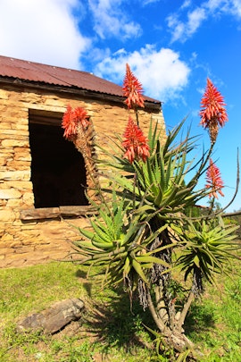 Panorama Route Accommodation at Cabin & Cottage Kaapsehoop | Viya