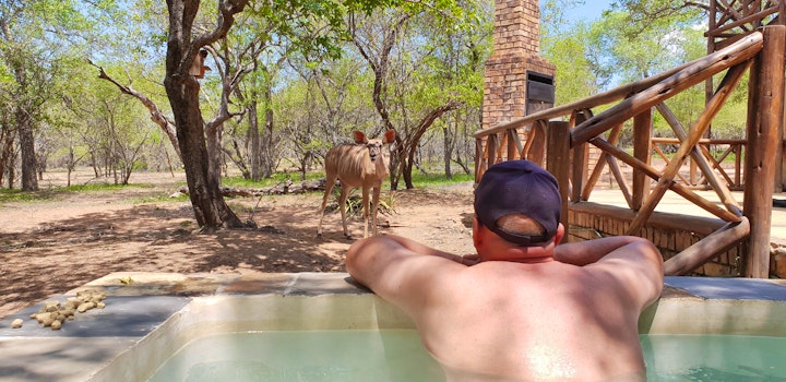 Mpumalanga Accommodation at Phumangeni Marloth Park | Viya