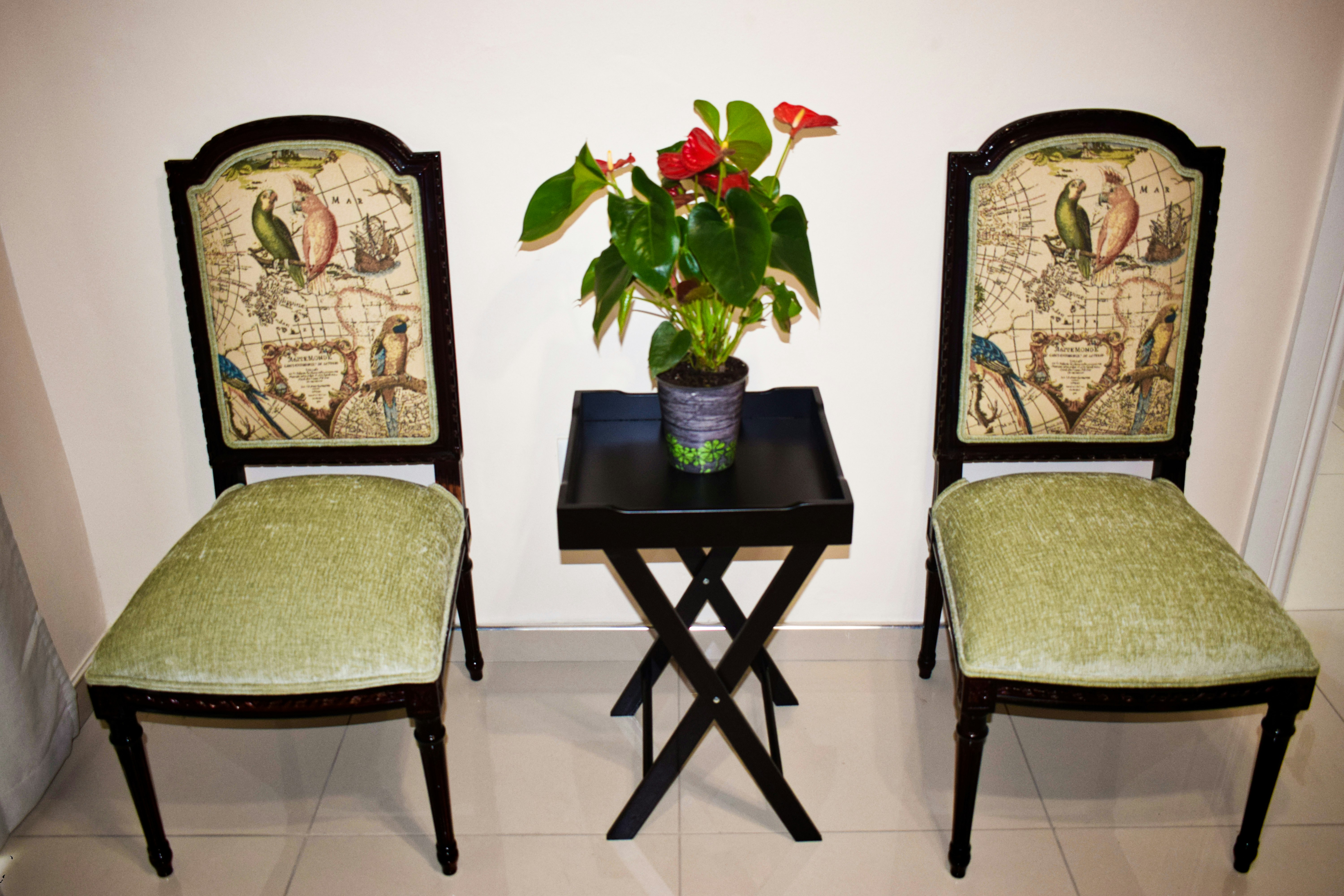 Dei Gratia Guesthouse image no 3 of 10