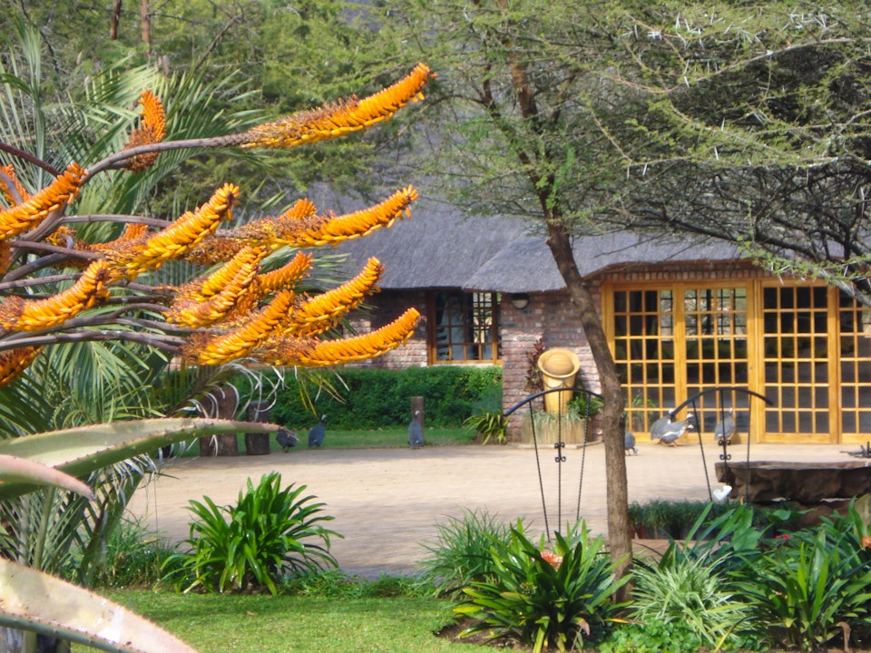 Soutpansberg Mountains Accommodation at  | Viya