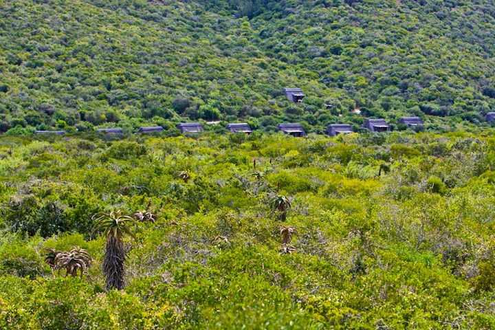 Eastern Cape Accommodation at SANParks Addo Matyholweni Rest Camp | Viya