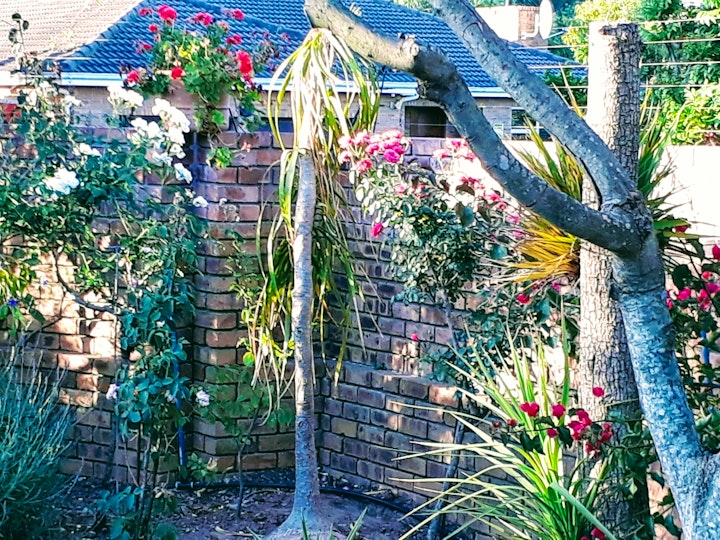 Cape Town Accommodation at 5 on Penny Self-catering, Durbanville | Viya
