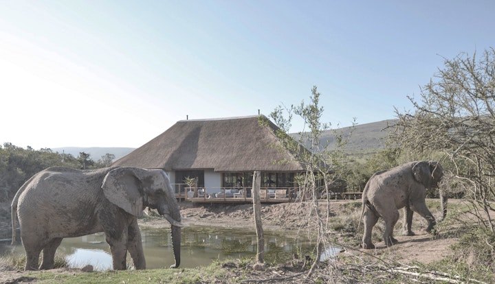 Eastern Cape Accommodation at Barefoot Addo Elephant Lodge | Viya