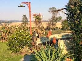 KwaZulu-Natal Accommodation at Petra's Country Guest House | Viya