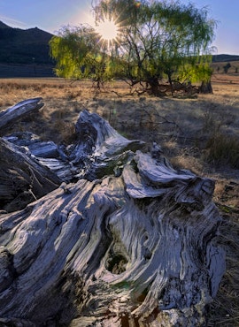 Eastern Cape Accommodation at Cedarberg Guest Farm | Viya