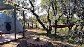 Dinokeng Game Reserve Accommodation at  | Viya