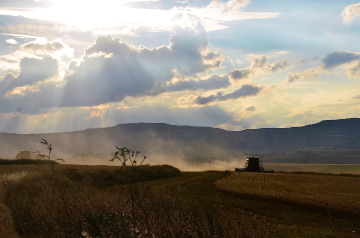 Drakensberg Accommodation at Goedgeleë | Viya