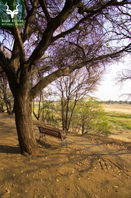 Limpopo Accommodation at  | Viya