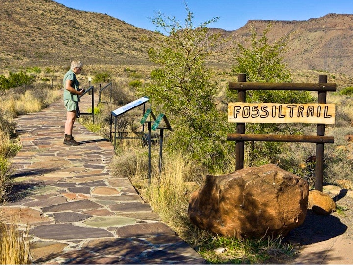 Western Cape Accommodation at SANParks Karoo National Park | Viya