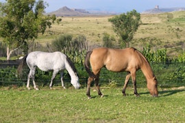 Clarens Accommodation at Blackwoods Farm Cottage | Viya