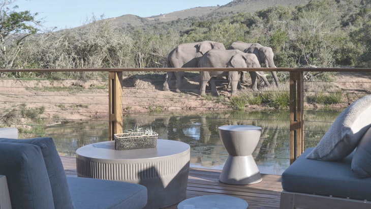  at Barefoot Addo Elephant Lodge | TravelGround