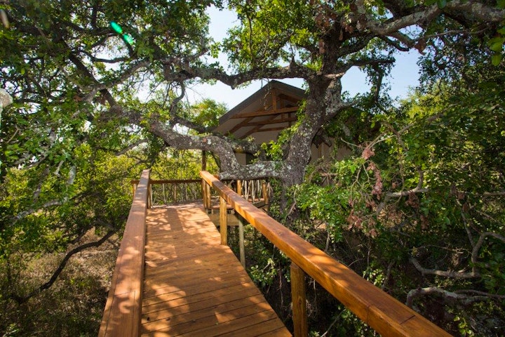 Limpopo Accommodation at Lion Tree Top Lodge | Viya