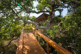 Limpopo Accommodation at  | Viya