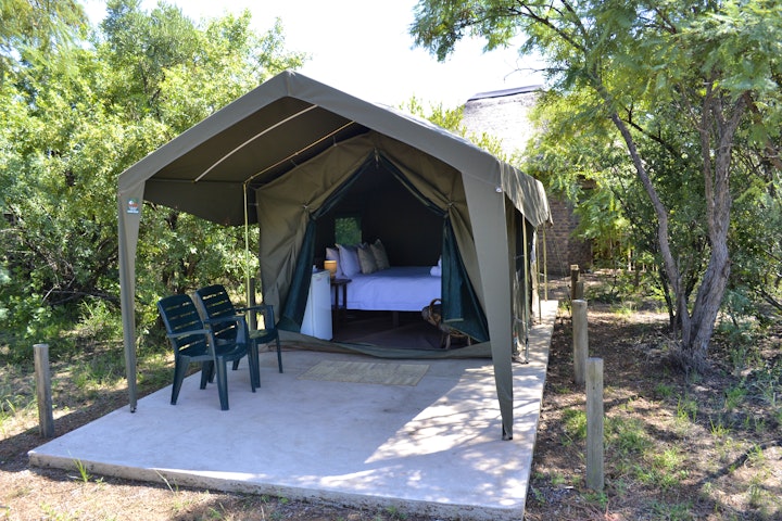Dinokeng Game Reserve Accommodation at Sunset Bush Camp | Viya