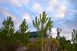 Overberg Accommodation at Otium Oasis | Viya