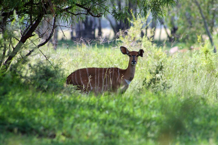 Free State Accommodation at De Rust Private Nature Reserve | Viya