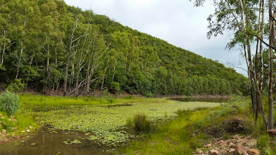 Bobbejaansberg Private Nature Reserve Accommodation at  | Viya