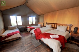 Northern Cape Accommodation at  | Viya