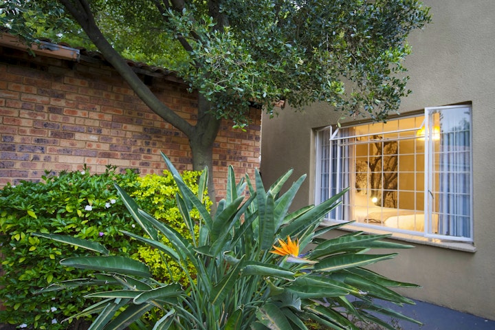 Johannesburg Accommodation at Wildlife Photographer Cottage | Viya