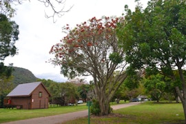 Garden Route Accommodation at SANParks Wilderness Ebb-and-Flow Rest Camp | Viya