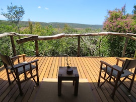 Eastern Cape Accommodation at  | Viya