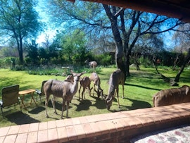 Kruger National Park South Accommodation at 1815 Seekoei | Viya