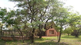 Dinokeng Game Reserve Accommodation at  | Viya