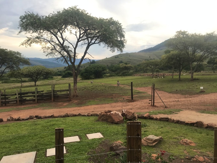 Mpumalanga Accommodation at Caracal Lodge | Viya