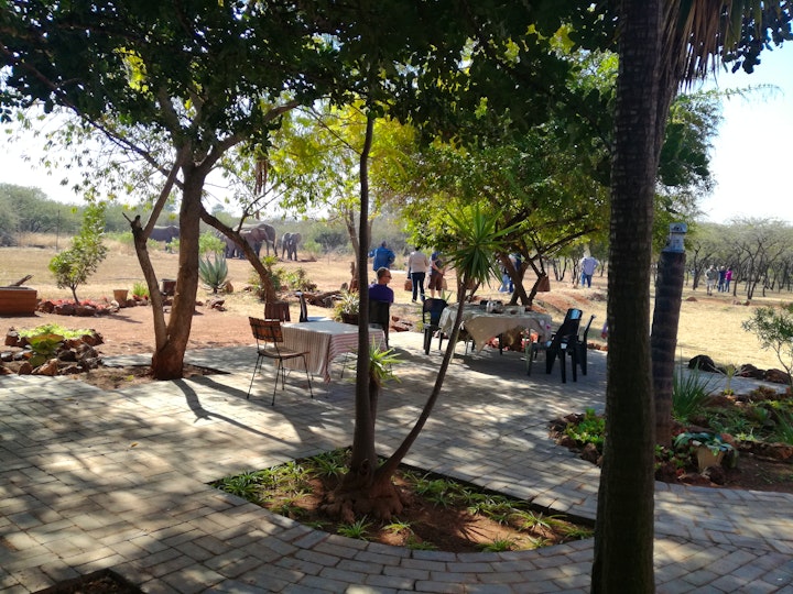 Gauteng Accommodation at Elephant Waterhole | Viya