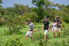 Kruger To Canyons Accommodation at Sausage Tree Safari Camp | Viya