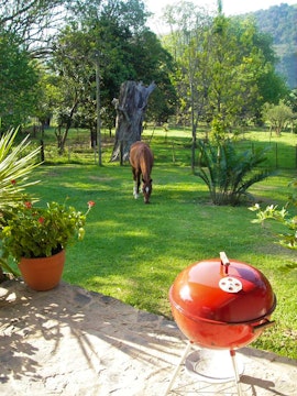 KwaZulu-Natal Accommodation at  | Viya