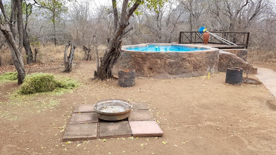 Kruger National Park South Accommodation at  | Viya