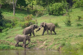 Kruger National Park South Accommodation at Kruger River Holiday Home | Viya