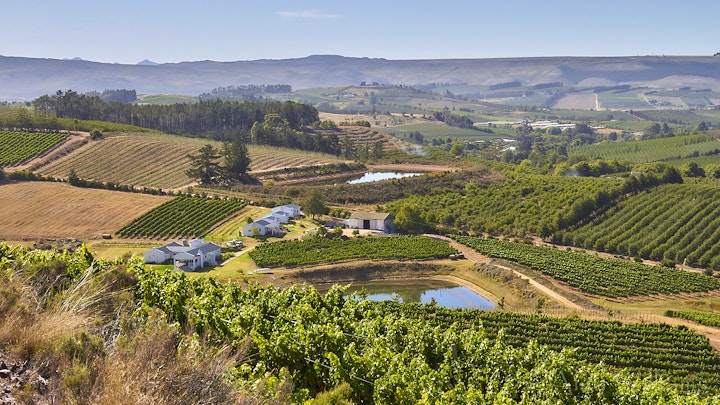 Grabouw Accommodation at Paul Wallace Wines and Guest Cottages | Viya